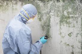 Best Mold Remediation for Healthcare Facilities in Hoffman Estates, IL